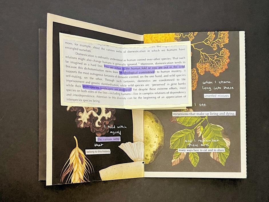 Open art book with handwritten text and collaged illustrations of fungi