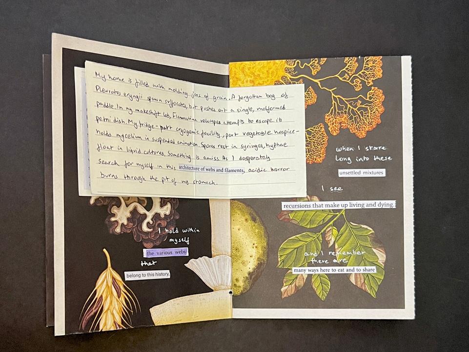 Art book spread with academic text and artistic collage elements