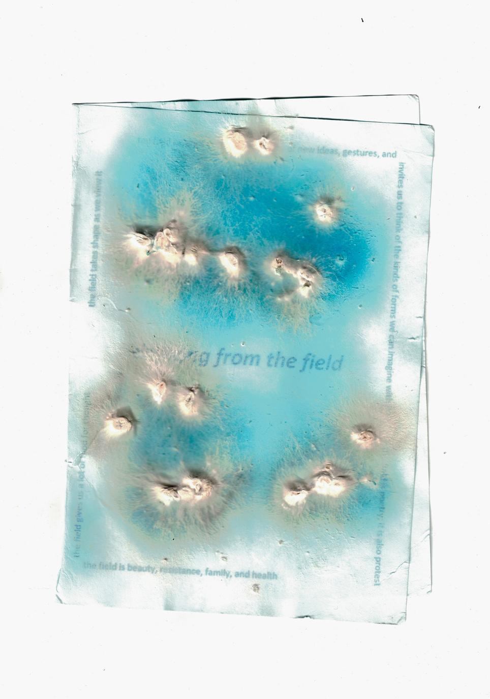 Paper with visible fungal fruiting bodies growing through text