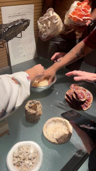 Workshop session with participants seated in a circle around a colorful map