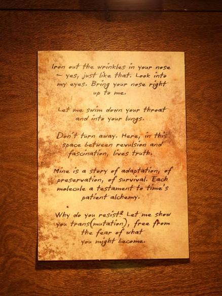 Close-up of the handwritten poem on aged paper