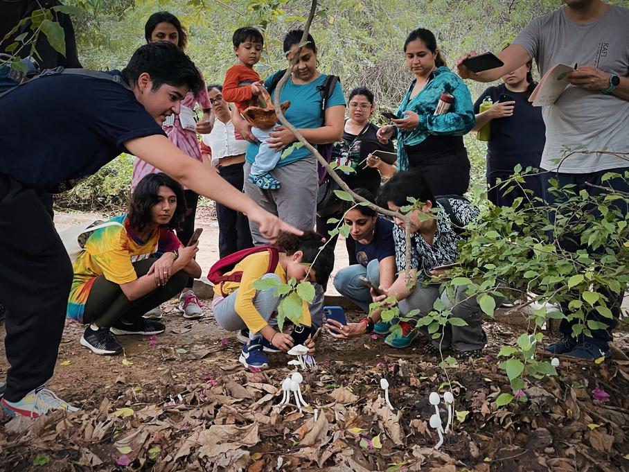Foraging baskets filled with collected mushroom specimens and a field guide